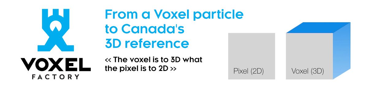 Voxel Particule