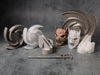 Clear Cast Resin (Form 4) 1L - Voxel Factory -3D printer- Imprimante 3D