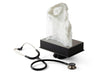 Formlabs Form 4B 3D printer Basic Package - Voxel Factory -3D printer- Imprimante 3D