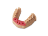 Teeth Soft Tissue Starter Pack Form 2 and 3
