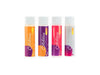 Magigoo Adhesive Pro Kit - Voxel Factory -3D printer- Imprimante 3D